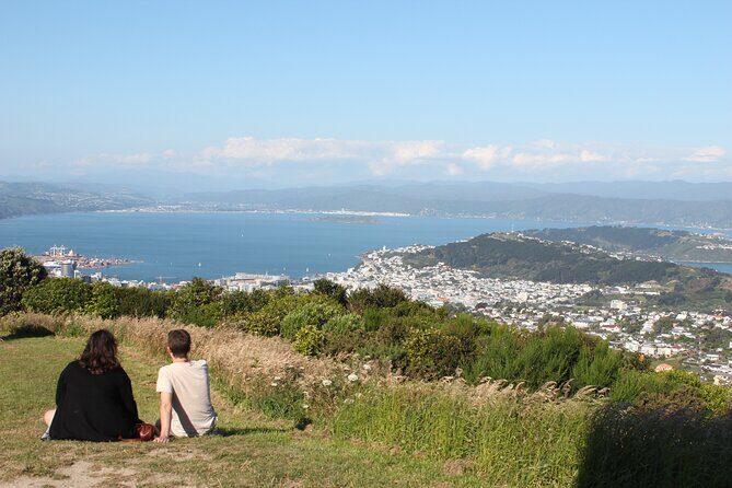 Wellington Scenic Full Day Tour - FAQ