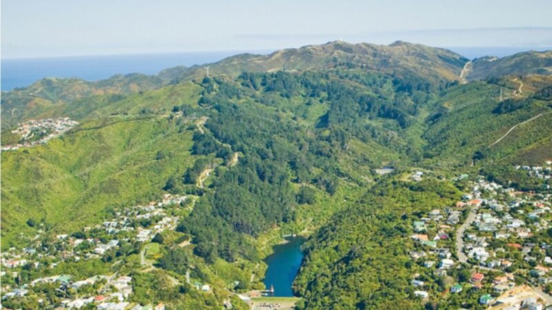 Wellington: Scenic Harbour Helicopter Flight - Starting Your Adventure: From the Heart of Wellington