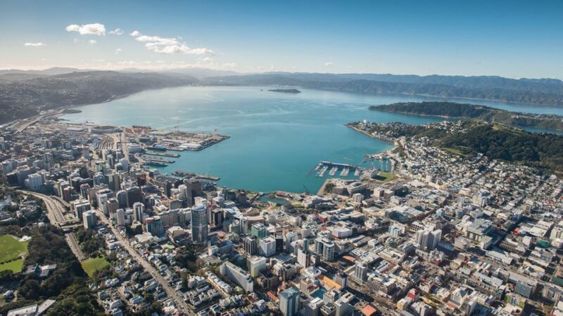Wellington: Scenic Harbour Helicopter Flight - The Coast and Lighthouse