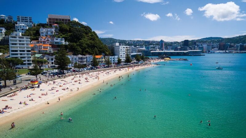 Wellington: Scenic Harbour Helicopter Flight - Practical Tips for the Best Experience