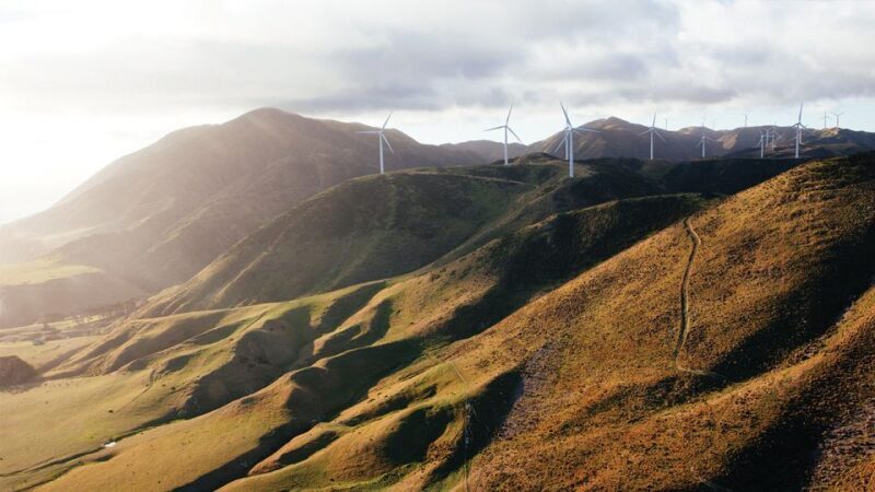 Wellington: Scenic South Coast Discovery Helicopter Flight - Key Points
