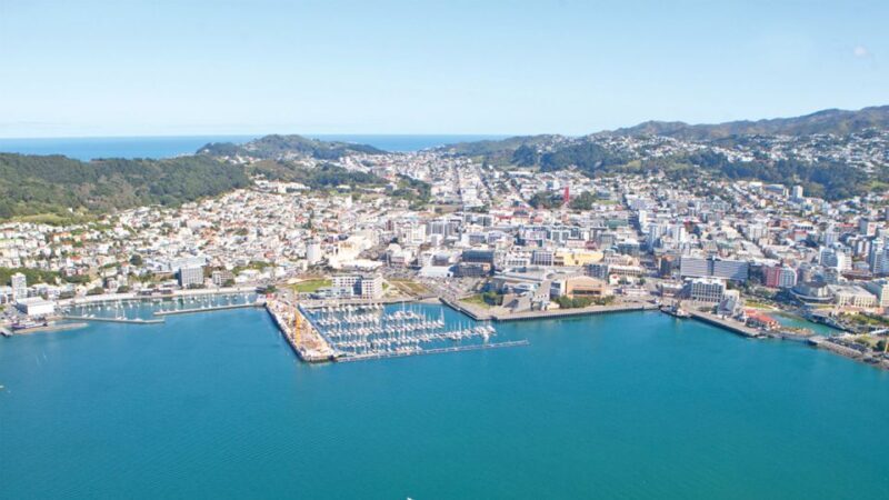 Wellington: Scenic South Coast Discovery Helicopter Flight - Exploring Wellington from the Sky