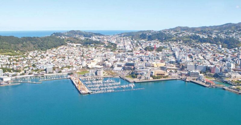 Wellington: Scenic South Coast Discovery Helicopter Flight - What Makes This Tour Stand Out
