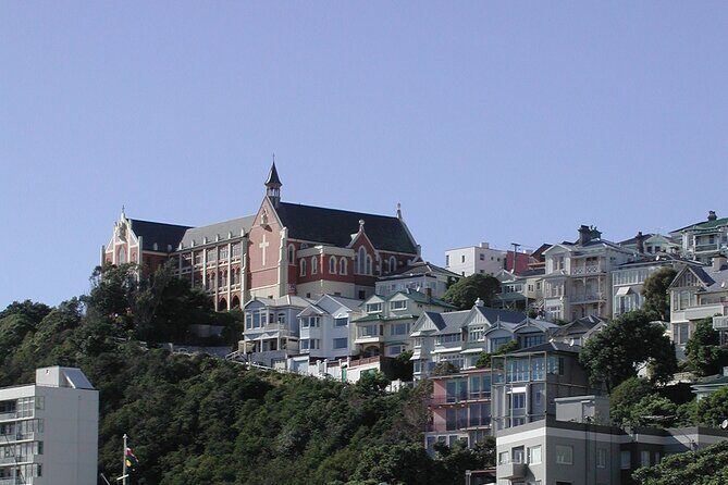 Wellington Shore Excursion City Sightseeing Tour - In-Depth Breakdown of the Itinerary