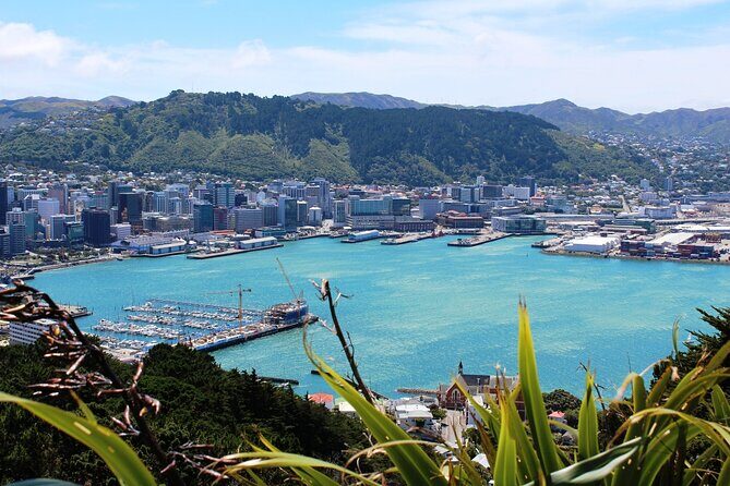 Wellington Shore Excursion City Sightseeing Tour - Practical Tips for Your Tour Experience