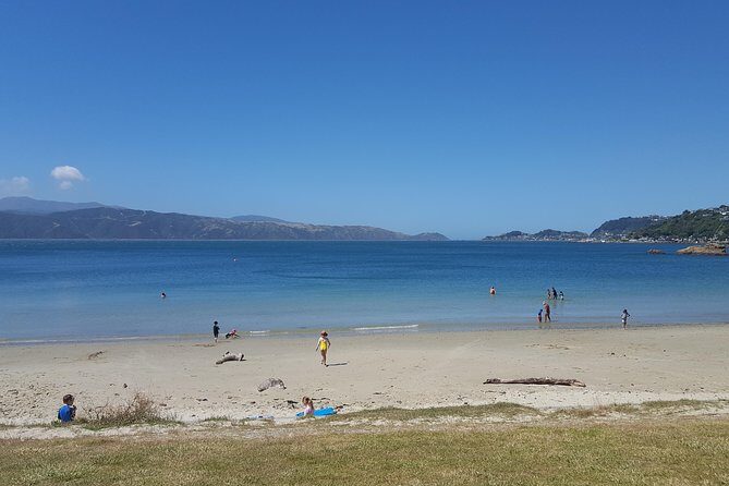 Wellington Shore Excursion: From Cave to Coast Highlights Private Tour - Transportation and Convenience