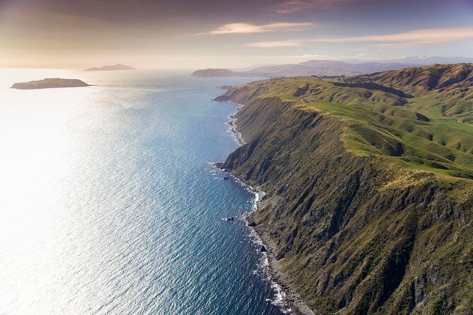 Wellington South Coast Discovery Helicopter Flight - Final Thoughts: Is It Worth It?
