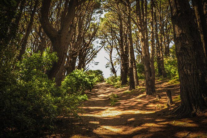 Wellington's Original HD LOTR Experience - includes Weta Tour - The Sum Up