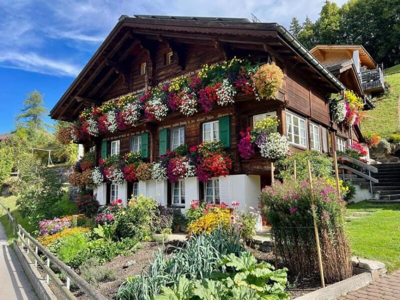 Wengen: Family-Friendly Countryside Farm Tour in Swiss Alps - Wengen: Family-Friendly Countryside Farm Tour in Swiss Alps