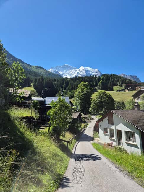 Wengen: Family-Friendly Countryside Farm Tour in Swiss Alps - Optional Cheese & Chocolate Tasting: A Treat for the Senses