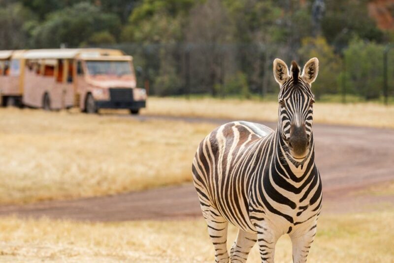 Werribee Open Range Zoo: Entry Ticket - Frequently Asked Questions