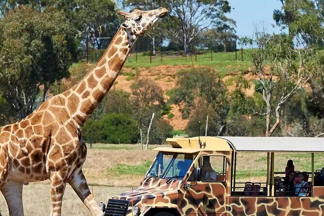 Werribee Zoo & Werribee Mansion Tour - Werribee Zoo & Werribee Mansion Tour: An Authentic Day Out Just Outside Melbourne