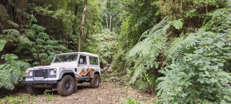 West: 4x4 Tour | Seixal Beach | Porto Moniz Natural Pools | - The Sum Up