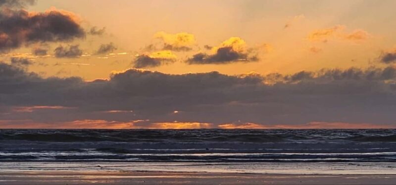 West Auckland: Sunset with Thermal pool & Wine Tasting - Final Thoughts