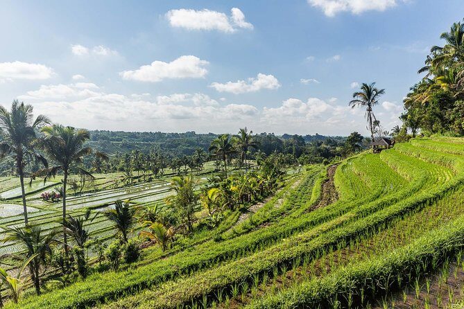 West Bali Tour: Taman Ayun, Ulun Danu Beratan, Jatiluwih Rice Terrace, Tanah Lot - FAQ