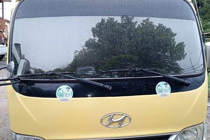 West Bay Beach daypass With Round trip Transportacion in Roatan - An In-Depth Look at West Bay Beach Daypass