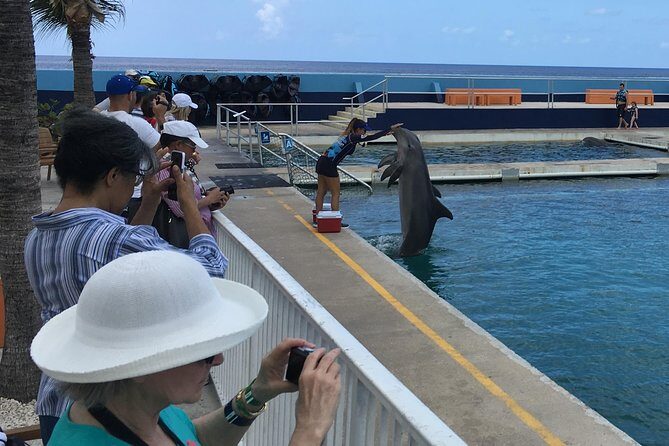 West Bay Sightseeing Tour Plus Seven Mile Beach Visit - A Closer Look at the Tour Experience