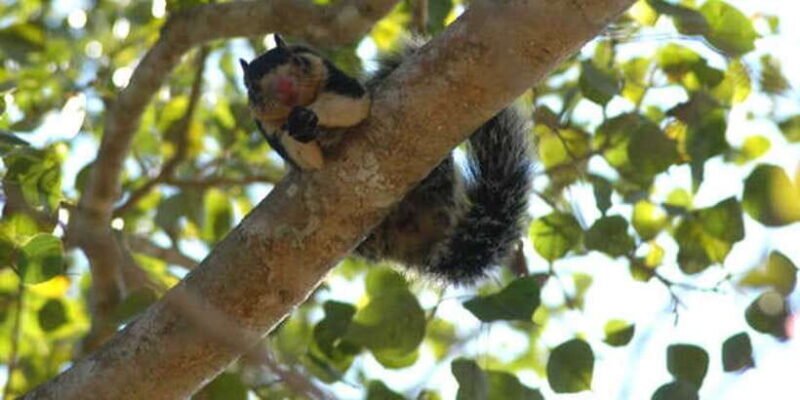 West coast Beach, River Mangroves lagoon, Wildlife boat Tour - Final Thoughts