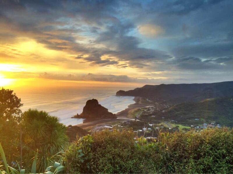 West Coast Discovery Piha Beach Private Tour - Discover Auckland’s West Coast on a Private Day Tour