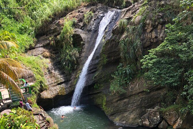 West Coast: Rum Distillery, Concord waterfall, Nutmeg processing - What to Expect During the Tour