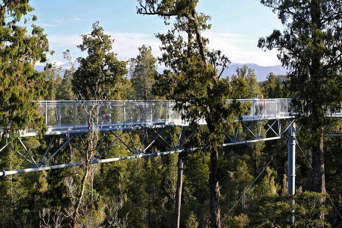 West Coast Tree Top Walk Experience - Key Points