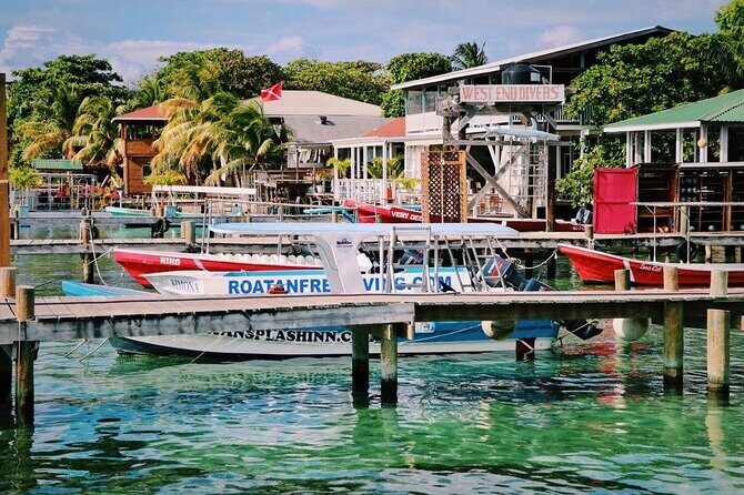 West End Tour (Choco Factory + Rum Company + Art Gallery + Rusty Fish and more) - Key Points