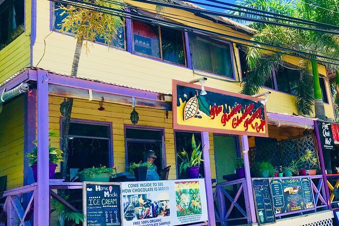 West End Tour (Choco Factory + Rum Company + Art Gallery + Rusty Fish and more) - A Deep Dive into Roatan’s West End Tour