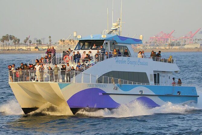 West Harbor LA Whale and Dolphin Watching Cruise - The Sum Up: Who Should Consider This Tour?