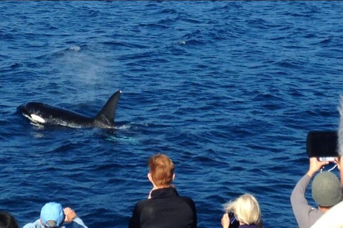 West Harbor LA Whale and Dolphin Watching Cruise - Frequently Asked Questions