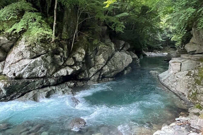 West IZU Uncovered Tour Cave Cruise and Monkey Encounter - The Practical Side: What to Expect