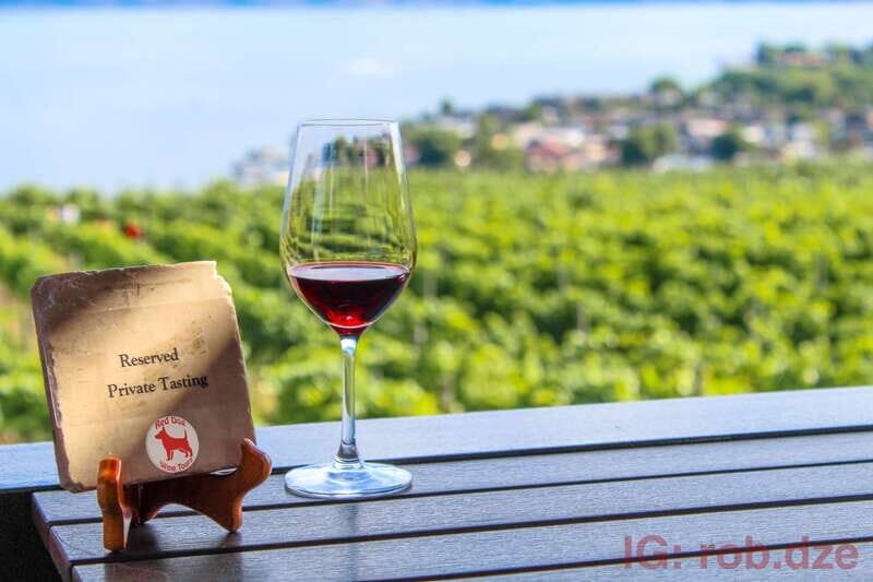 West Kelowna: Afternoon Sightseeing and Wine Tour - An In-Depth Look at the West Kelowna Wine Tour