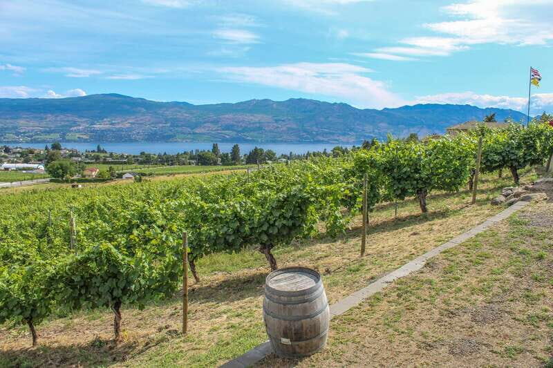 West Kelowna: Afternoon Sightseeing and Wine Tour - Who Should Take This Tour?