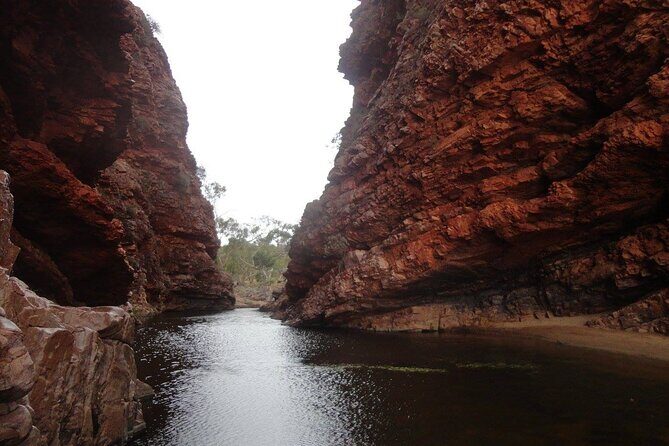 West MacDonnell Ranges Half day Tour -Small Group - A Close-Up Look at the West MacDonnell Ranges Half-Day Tour from Alice Springs