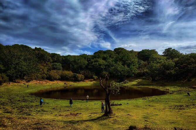 West Madeira Island Guided Tour & Fanal Mystic Forest - What to Expect from the Tour Experience