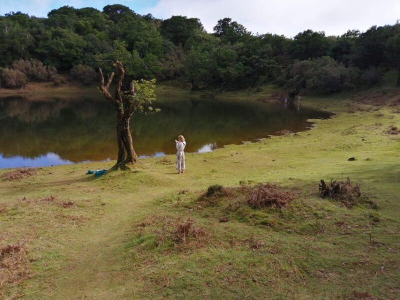 West Madeira:, Laurel Forest, Waterfall, Rock Pools, Walk - Final Words