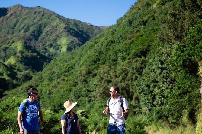 West Maui Adventure Tour with Private Guide - A Detailed Look at the West Maui Private Adventure