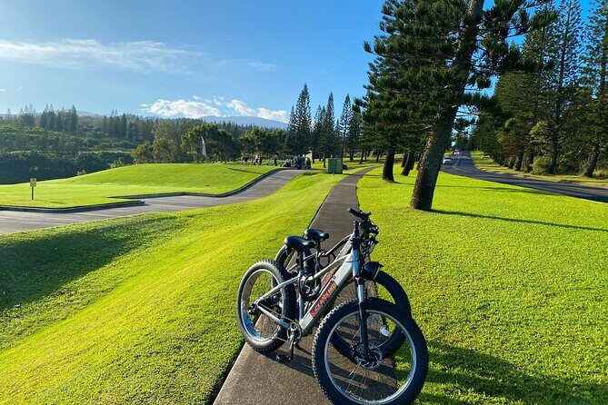 West Maui Electric Bike Rentals - The Itinerary: What to Expect