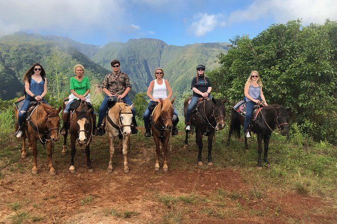 West Maui Mountain Waterfall and Ocean Tour via Horseback - Who Should Book This Tour?