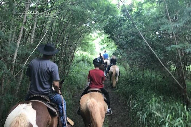 West Maui Mountain Waterfall and Ocean Tour via Horseback - FAQs