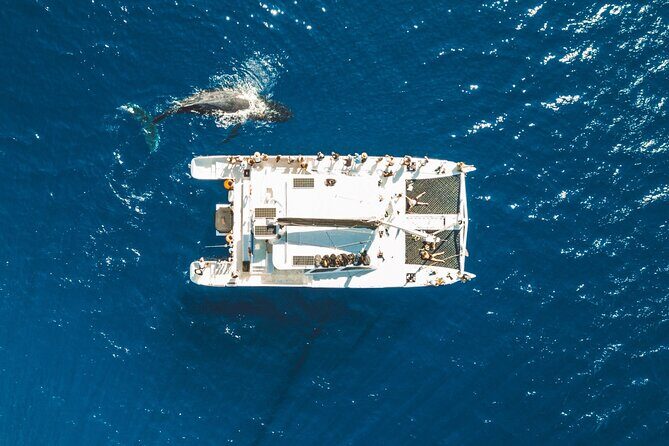 West Maui Snorkel & Sail from Ma'alaea Harbor - An Authentic Look at the West Maui Snorkel & Sail Experience