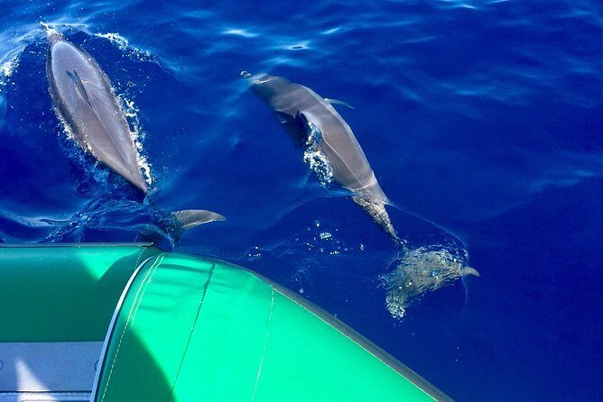 West Maui Snorkeling Experience by Boat from Ka'anapali - Key Points
