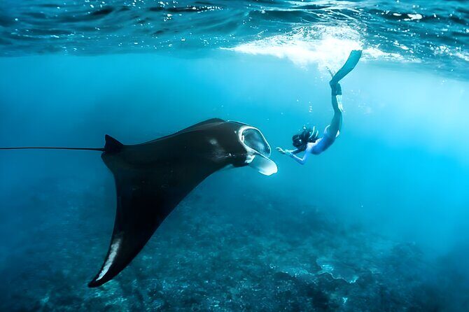 West Nusa Penida Island Snorkeling Tour - From Bali Island - What’s the Value Here?