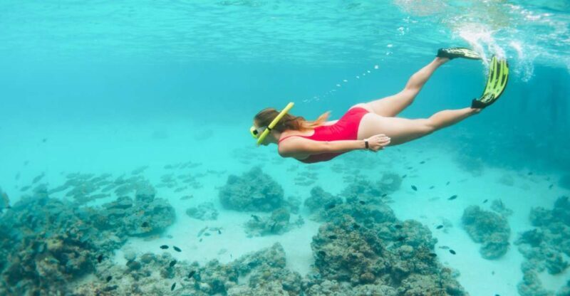 West Oahu: Turtles, Dolphins, and Snorkeling Tour with Lunch - What Sets This Tour Apart