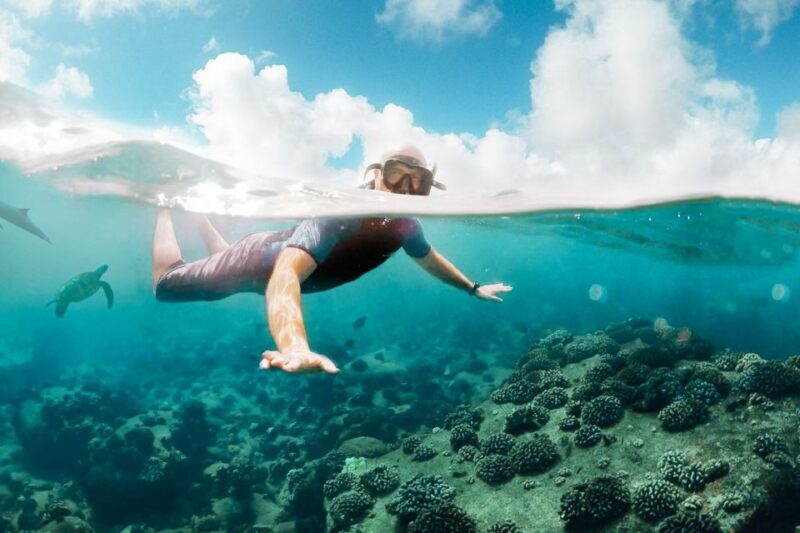West Oahu: Turtles, Dolphins, and Snorkeling Tour with Lunch - Final Words