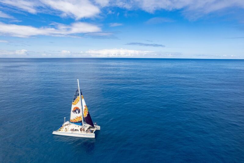 West Oahu: Turtles, Dolphins, and Snorkeling Tour with Lunch - FAQ
