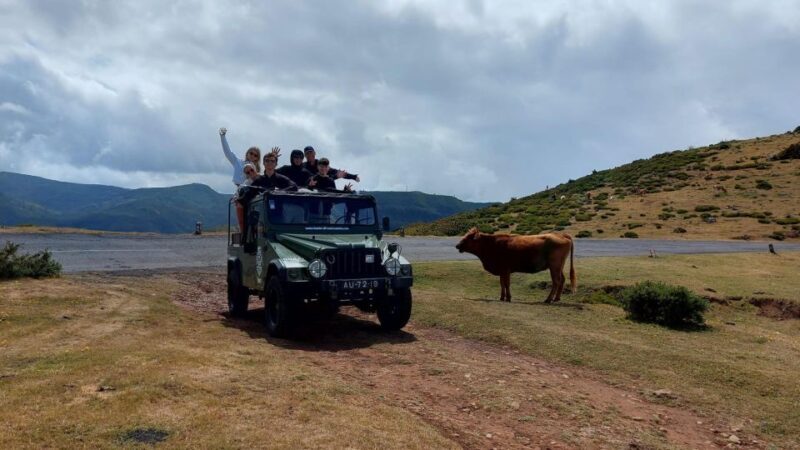 West Safari - The natural pool Porto Moniz Open Roof Jeeps - An In-Depth Look at the Madeira Jeep Adventure
