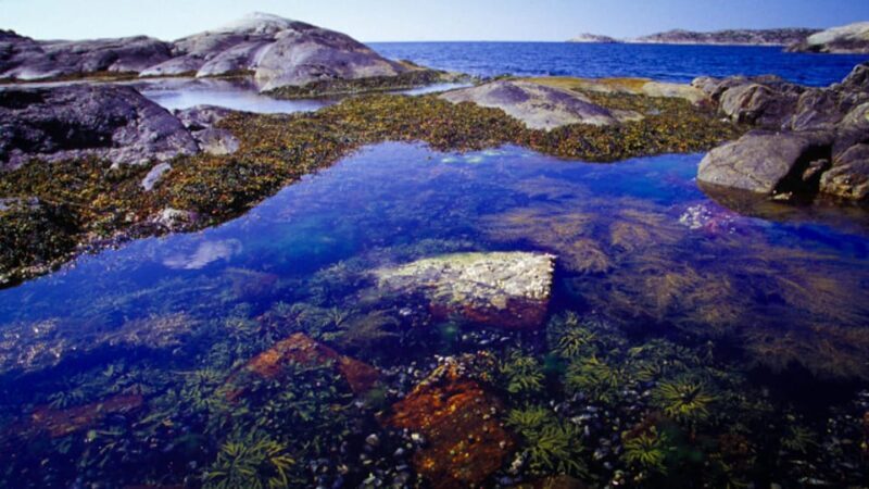 West Sweden: Self Guided Kayak Tour - Southern Route - Itinerary Breakdown: What to Expect