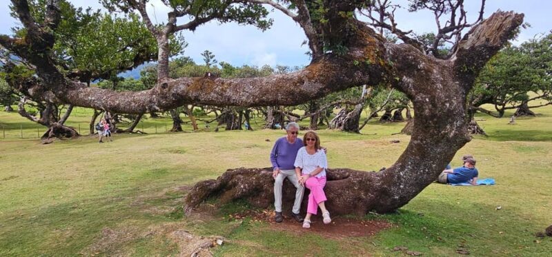 West Tour Madeira Island - Frequently Asked Questions