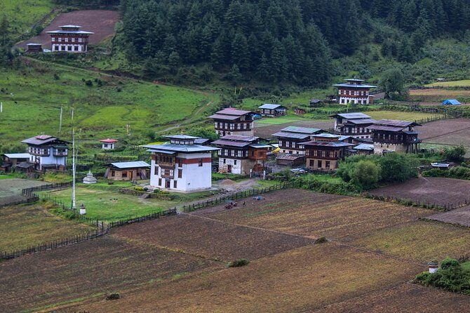 Western Bhutan Tour-7 Days - An In-Depth Look at the Western Bhutan Tour
