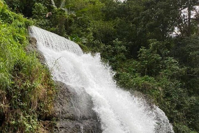 Western Island Full Day Tour - Exploring Puerto Rico’s Hidden Gems: A Complete Review of the Western Island Full Day Tour